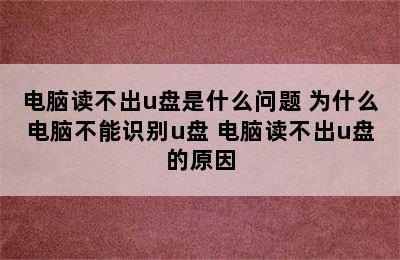 电脑读不出u盘是什么问题 为什么电脑不能识别u盘 电脑读不出u盘的原因